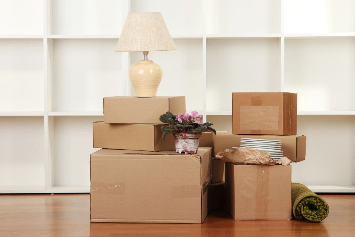 Moving Tips Guide - Professional Moving Advice and Hacks