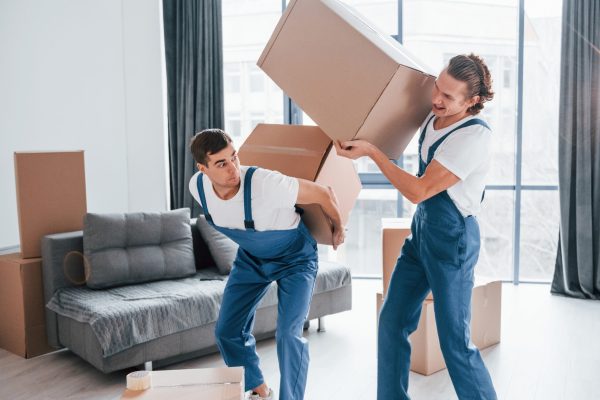 Heavy boxes. Two young movers in blue uniform working indoors in the room.